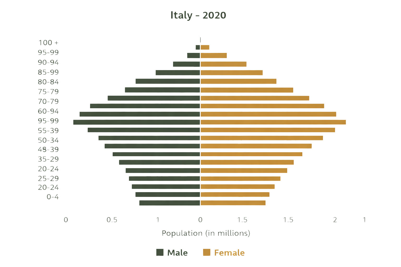 piramide demografica student housing